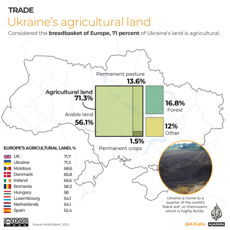 Impact of War in Ukraine on global agriculture